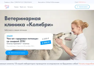 Снимок главной страницы k-vet.su