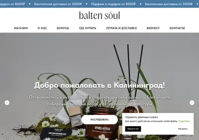 Снимок главной страницы baltensoul.ru