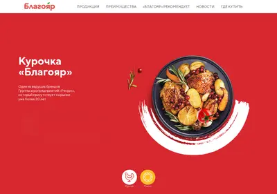 Снимок главной страницы blagoyar.ru