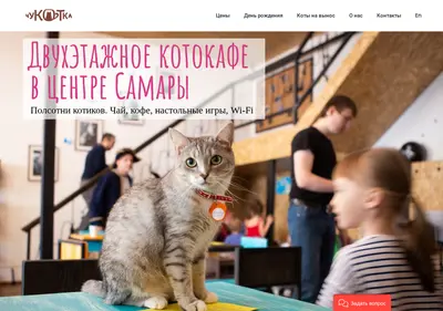 Снимок главной страницы chukotka63.ru
