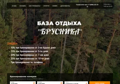 Снимок главной страницы brusnika-house.ru