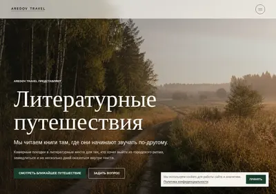 Снимок главной страницы aredovstories.ru