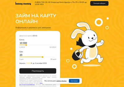 Снимок главной страницы bunnymoney.ru