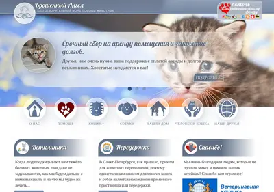 Снимок главной страницы bfba.ru