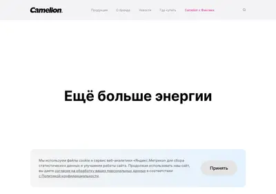 Снимок главной страницы camelionbattery.ru