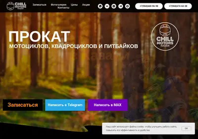Снимок главной страницы chillmotors.ru