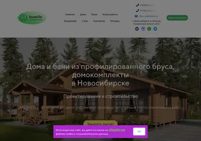 Снимок главной страницы allesnsk.ru
