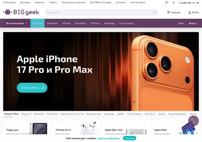 Снимок главной страницы biggeek.ru