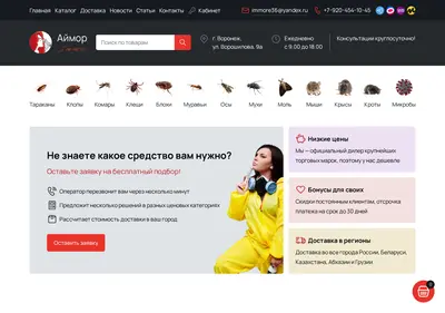 Снимок главной страницы aimore.ru
