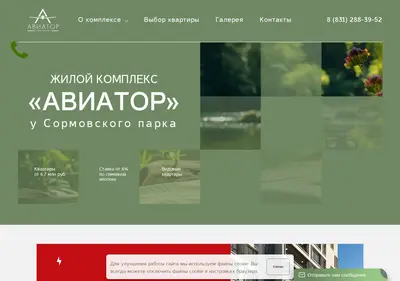 Снимок главной страницы aviator-nn.ru