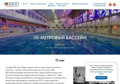 Снимок главной страницы bassein-bm.ru