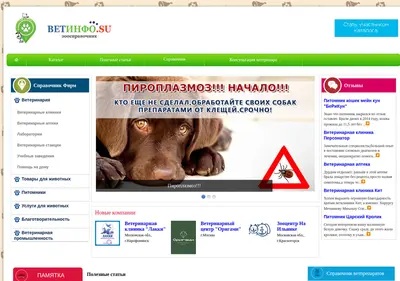 Снимок главной страницы vetinfo.su