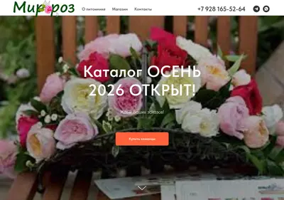 Снимок главной страницы mirrose.su