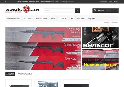 Снимок главной страницы armisgun.ru