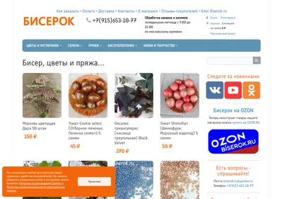 Снимок главной страницы biserok.ru