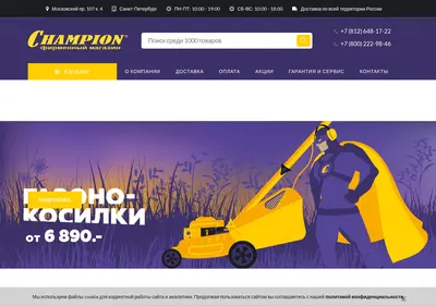 Снимок главной страницы championtorg.ru