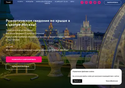Снимок главной страницы 7skyy.ru
