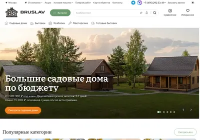 Снимок главной страницы bruslav.ru
