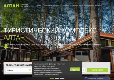 Снимок главной страницы altan-altai.ru
