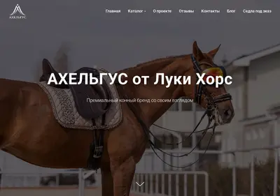 Снимок главной страницы ahelgus.ru