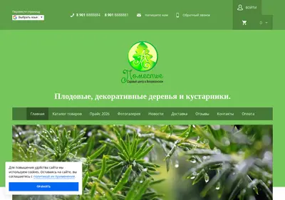 Снимок главной страницы 888881.ru