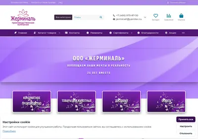 Снимок главной страницы jerminal.su