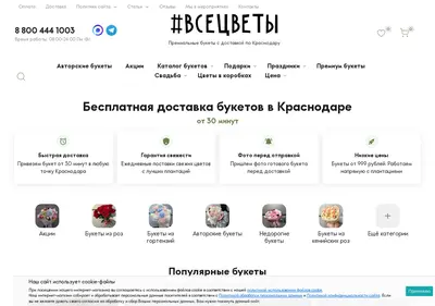 Снимок главной страницы allflow.ru