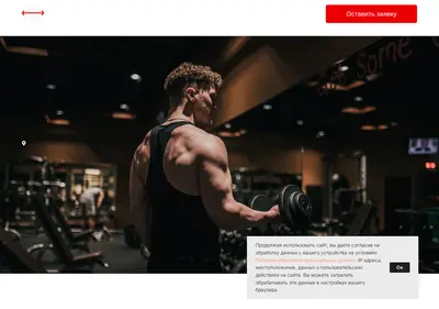 Снимок главной страницы alfa-gym.ru