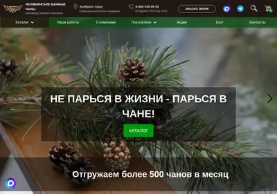 Снимок главной страницы 7464.ru