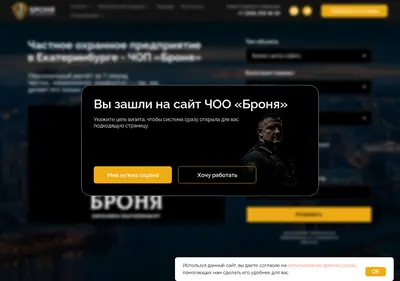 Снимок главной страницы bronya96.ru