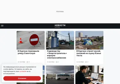 Снимок главной страницы 45-region.ru