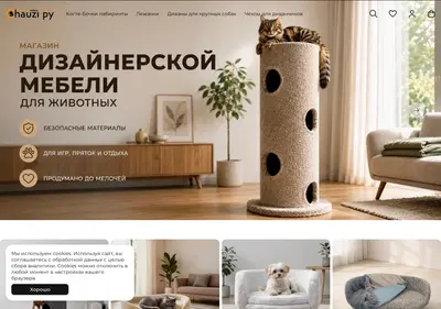 Снимок главной страницы chauzi.ru