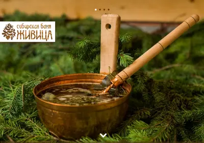 Снимок главной страницы banya-zhivica.ru