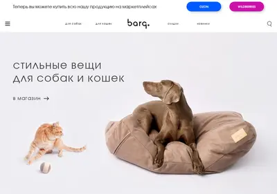 Снимок главной страницы barq.ru