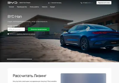Снимок главной страницы byd-nizhnij-novgorod.ru