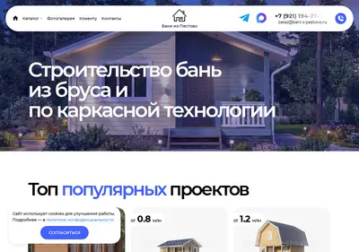 Снимок главной страницы bani-s-pestovo.ru