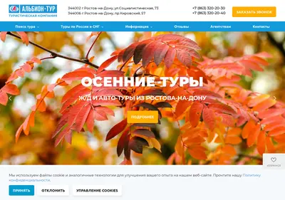 Снимок главной страницы albion-tour.ru