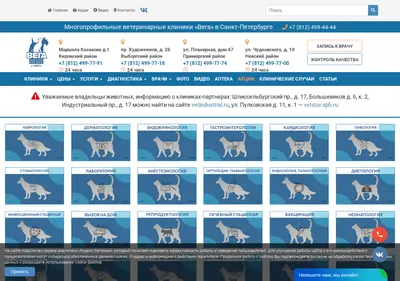 Снимок главной страницы vegavet.spb.ru