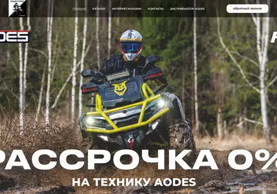 Снимок главной страницы aodes36.ru