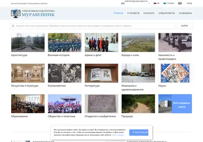 Снимок главной страницы ant53.ru