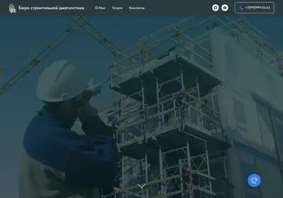 Снимок главной страницы bsd-expert.ru