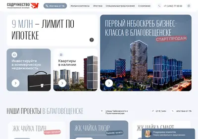 Снимок главной страницы chayka28.ru