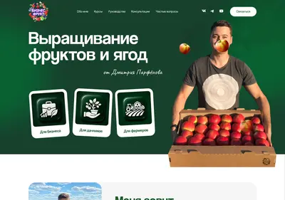 Снимок главной страницы biznesfrukt.ru
