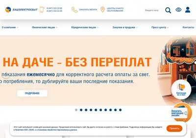 Снимок главной страницы bashesk.ru
