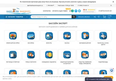 Снимок главной страницы basseinexpert.ru