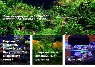 Снимок главной страницы akwa-as.ru