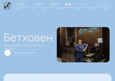 Снимок главной страницы bethovenclinic.ru