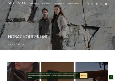 Снимок главной страницы argesto.ru