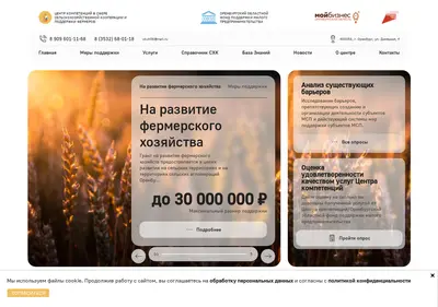 Снимок главной страницы agrocomp56.ru