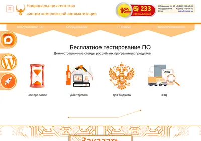 Снимок главной страницы naska.su